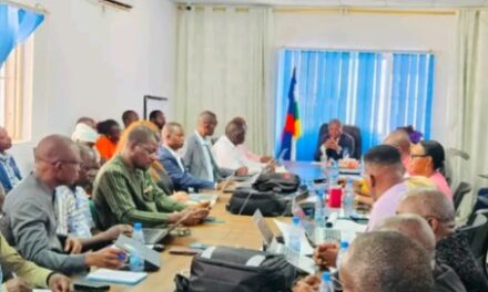 Le ministère de la Santé et ses partenaires accélèrent les préparatifs face au risque d’introduction du virus Ebola en Centrafrique
