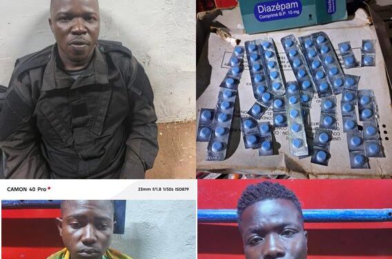 Centrafrique : Les États-Unis protègent-ils un réseau de drogue au cœur de Bangui ?