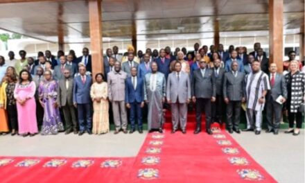 Centrafrique : le CNLS adopte le Plan stratégique national intégré 2027-2031, doté de plus de 482 milliards de FCFA