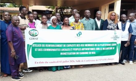 Les organisations de la société civile renforcent leurs capacités sur la monétisation du carbone