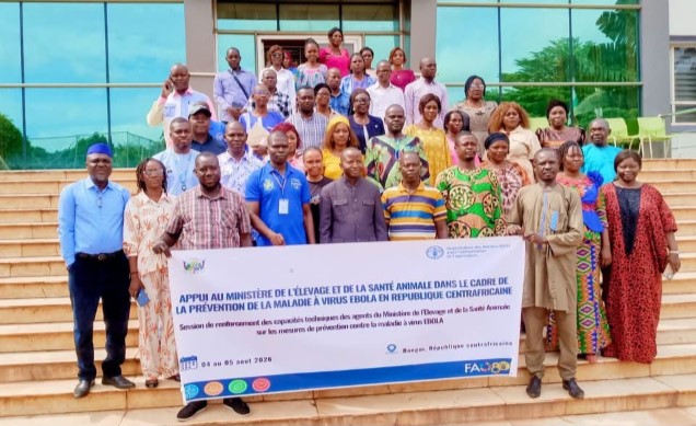 Centrafrique : la FAO renforce les capacités des agents du ministère de l’Élevage et de la Santé animale sur la maladie à virus Ebola