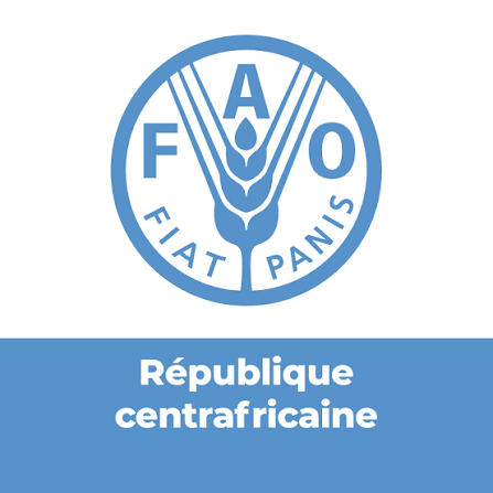 FAO : sélection d’un Prestataire privé chargé de réaliser la vérification indépendante de la légalité et de la traçabilité de l’exploitation forestière et des exportations de en bois en RCA